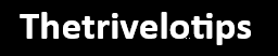 Thetrivelotips.online
